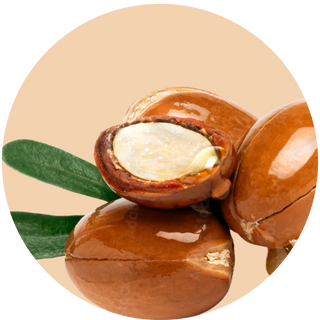Argan Oil