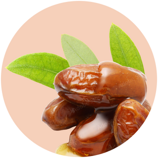 Jojoba Esters